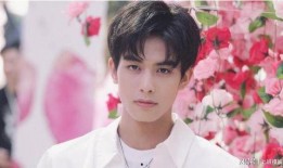 狗仔爆料宋威龙许凯视频,宋威龙许凯亲密视频曝光，幕后真相令人震惊