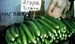 高质量网红吃瓜视频大全,揭秘热门网红吃瓜视频背后的精彩瞬间