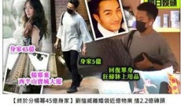 刘恺威邻居爆料视频在线观看,揭秘明星私生活细节