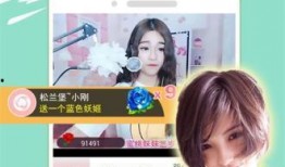 娱乐圈爆料直播小说下载,直播小说背后的秘密大揭秘