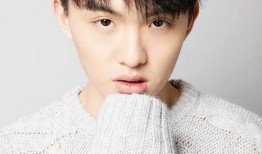 郑伟爆料视频大全集下载,揭秘背后真相与精彩瞬间