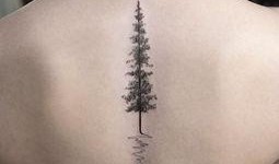 刺青 韩国在线观看