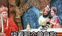 唐僧打人网络爆料视频,真相与争议并存