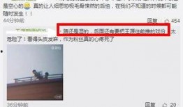 网友爆料王源事件视频,网友热议背后的真相与争议
