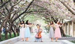 樱花校园春季最新版爆料,校园春意盎然，精彩活动轮番上演