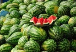 礼县网红吃瓜事件真相,真相背后的网络风波