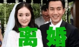 刘恺威邻居爆料视频在线观看,揭秘明星私生活细节