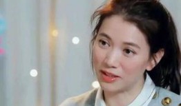 袁咏仪爆料香港小姐视频,一场关于美貌与智慧的较量