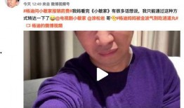杨迪夫妻爆料视频播放下载,揭秘幕后故事