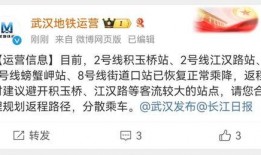 武汉极目新闻爆料电话查询,揭秘新闻背后的故事