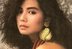 娱乐大爆料钟楚红小说