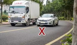 直播爆料开货车视频,货车司机真实工作瞬间，震撼画面引热议