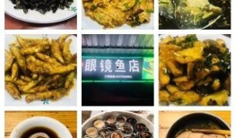 宁德日料爆料事件始末视频,真相与争议的交织