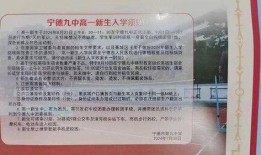 宁德日料爆料事件始末视频,真相与争议的交织