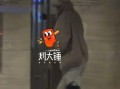 王楚然狗仔爆料视频,娱乐圈幕后真相大曝光
