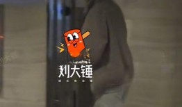 王楚然狗仔爆料视频,娱乐圈幕后真相大曝光