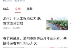 广西最新爆料新闻头条号,揭秘神秘事件背后的真相