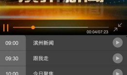 爆料老赖新闻视频大全最新,视频大全曝光惊人内幕