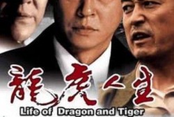 龙虎人生在线观看,在线观看，揭秘传奇人生巅峰对决