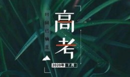 最新高招爆料,热门专业、录取分数线及报考策略全解析”