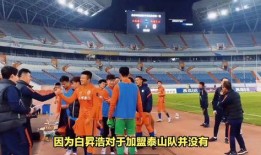 泰山队队内爆料最新消息,揭秘新赛季备战细节与关键转会动态