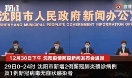 沈阳爆料最新消息视频,视频揭露惊人内幕