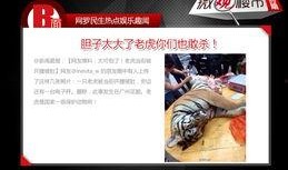 新闻晨报怎么爆料,揭秘事件背后真相