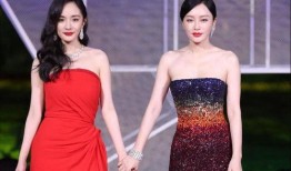 杨幂被闺蜜爆料视频大全,揭秘娱乐圈背后的真相