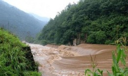 深圳爆料山洪最新消息,深圳山洪突发！最新救援进展及受灾情况通报