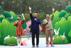 依哥最新爆料新闻视频在线观看,揭秘视频内容精彩瞬间