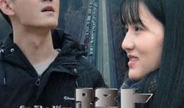 在线观看的电影免费,揭秘免费在线观影的奇幻之旅