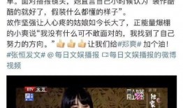 有网友爆料董小姐吗视频,网友爆料背后的真相揭秘