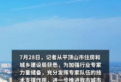 平顶山今日头条最新爆料,揭秘重大事件背后真相