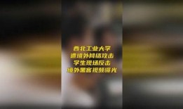 黑客爆料视频大全,黑客爆料视频大全深度解析