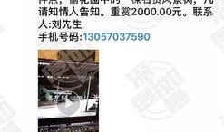 网上爆料视频网站,揭秘幕后爆料，带你走进网络视频世界