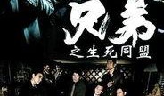 兄弟影院在线观看,在线观影新体验，畅享影视盛宴