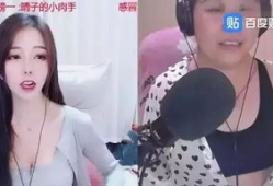 杭州娱乐主播吃瓜事件,揭秘网络直播界的争议瞬间