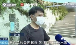 李明德直播有哪些网红吃瓜,网红齐聚一堂，吃瓜盛宴精彩纷呈