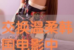 温柔交换在线观看,一场跨越时空的深情邂逅