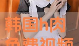 高清h视频在线观看,高清H视频在线观看体验解析