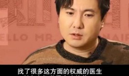 沈娜爆料王琦视频大全集,揭秘娱乐圈背后的秘密
