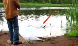 钓鱼爆料视频大全最新