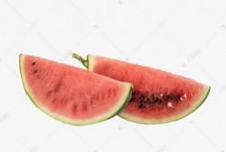 吃瓜素材视频下载网站免费,一键下载，畅享海量视频盛宴