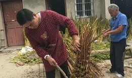 农村小伙免费吃瓜,体验别样丰收喜悦