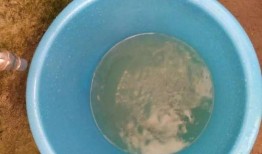 青瓜最新爆料图片,独家图片揭秘幕后真相