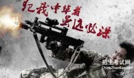 在线观看战狼1,燃情热血，捍卫家国情怀的视觉盛宴