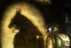 狼人部队在线观看,在线揭秘神秘特种部队的生死较量