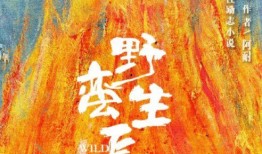 野蛮生长最新爆料,揭秘行业巨头背后的秘密与挑战