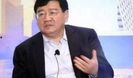 爆料徐小平视频播放,揭秘创业教父的真实一面