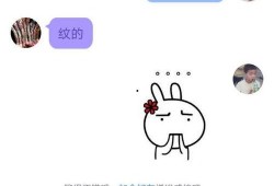 可以免费吃瓜的QQ群